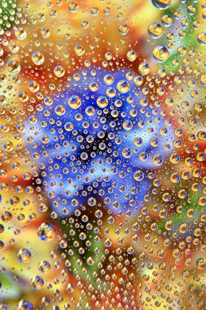 Colorado, Lafayette Abstract Water bubbles